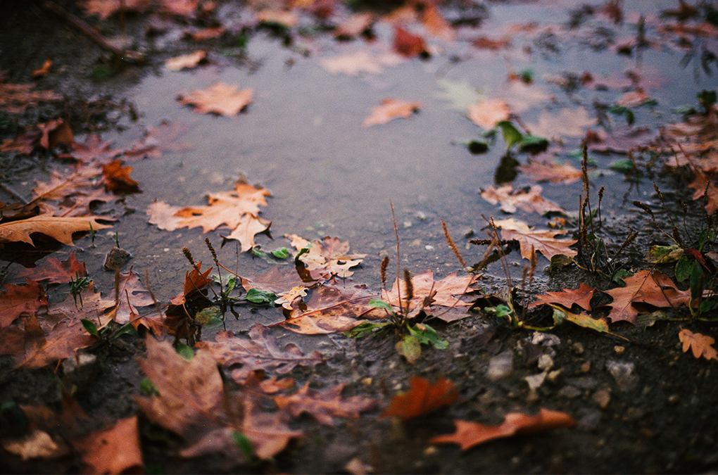 Vinterdepression, även kallat (SAD)